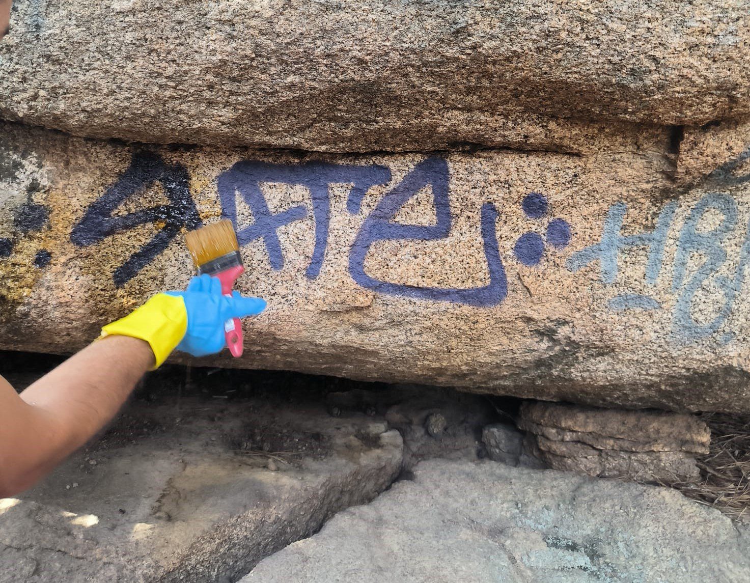 Pintadas en La Pedriza