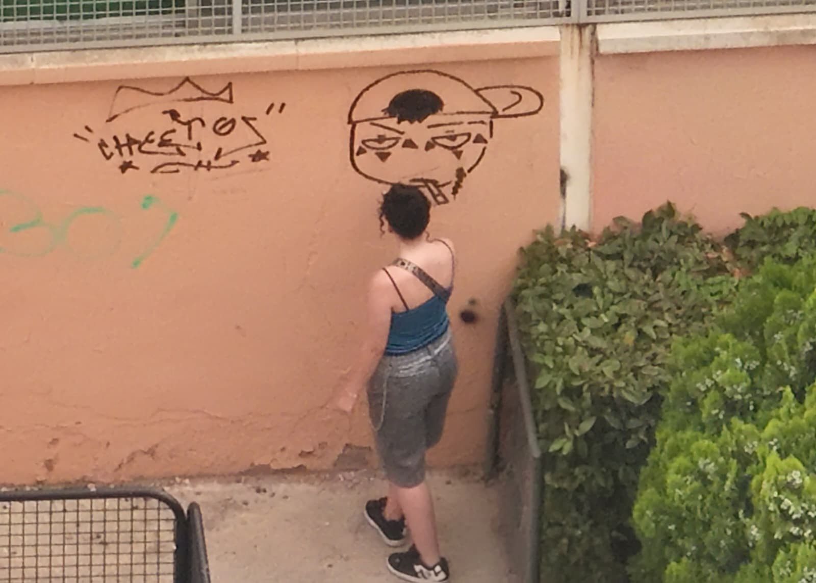 Vista aérea de una joven haciendo un grafiti en un muro exterior junto a vegetación.