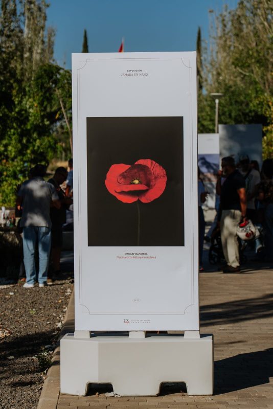 Panel expositivo al aire libre con la fotografía en detalle de una amapola roja.