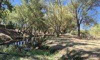 Los trabajos silvícolas en el río Guadarrama a su paso por Collado Villalba se ampliarán hasta la línea de ferrocarril Villalba-Segovia