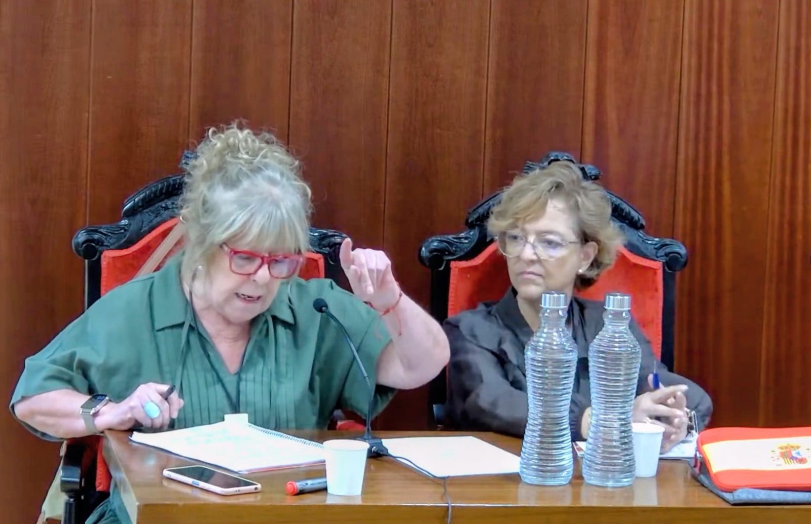 La edil no adscrita Paloma Menéndez, hablando en presencia de María Gabriela Mate, de Vox