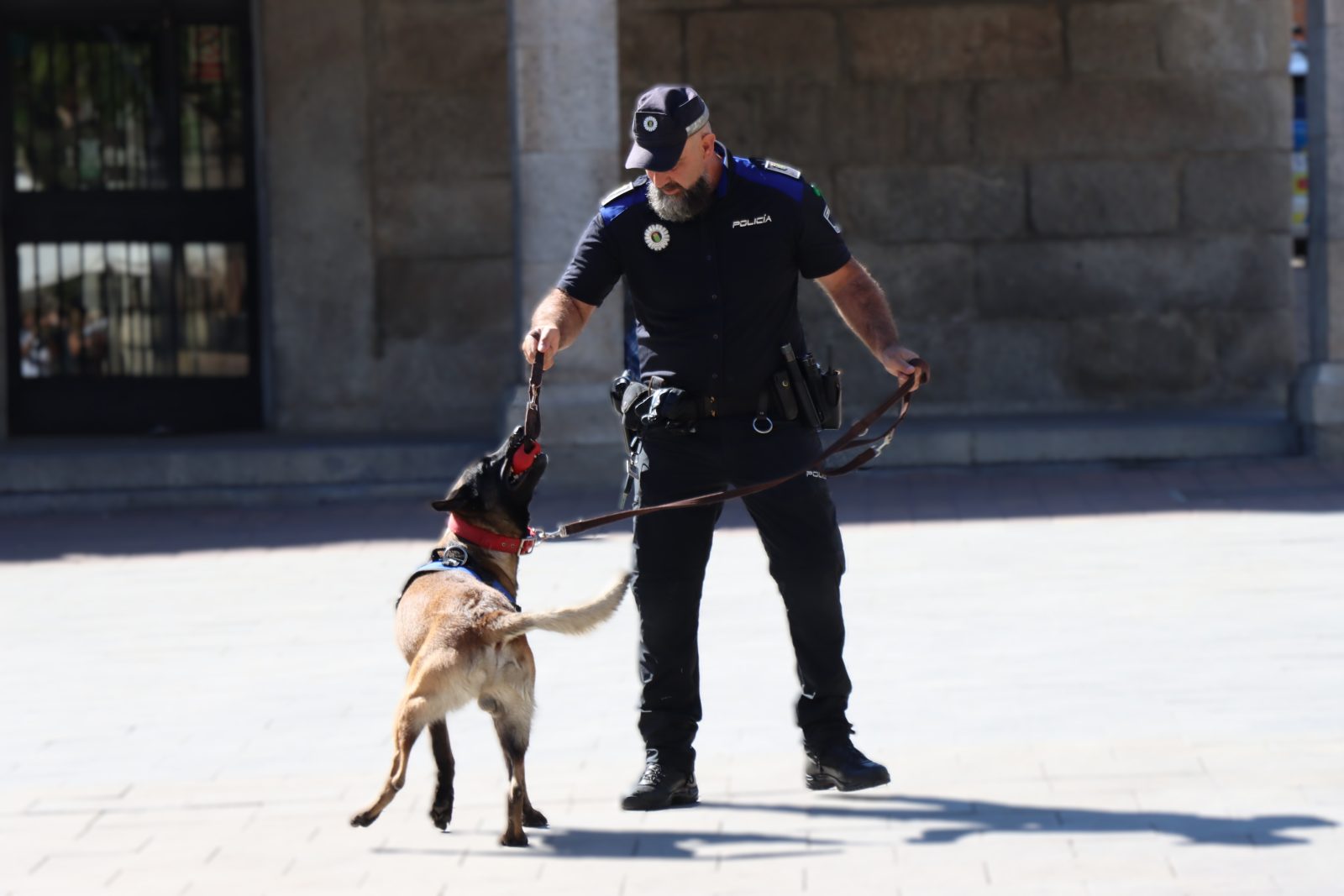 Presentación de la unidad canina en la plaza de la Constitución de Galapagar