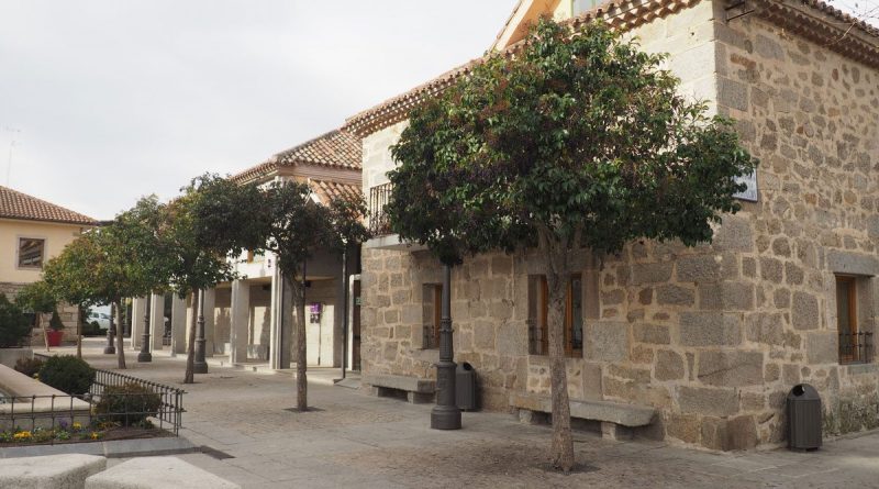 arboles-plz-constitucion