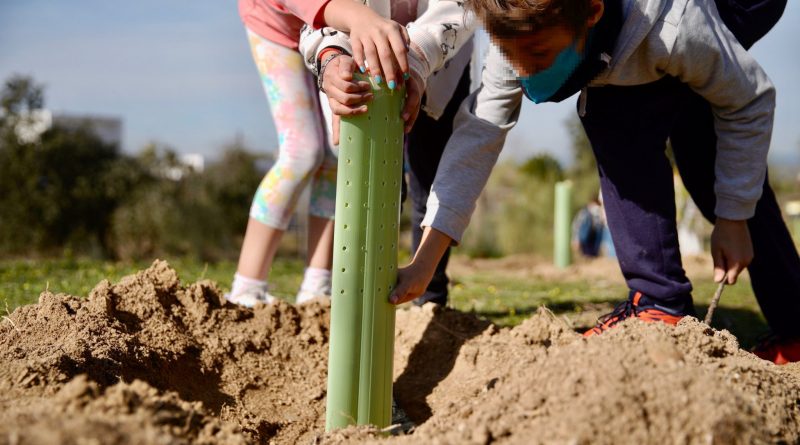 PLANTACIONES COLEGIOS