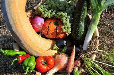huerta