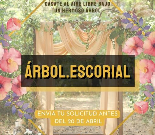 casarse bajo un árbol