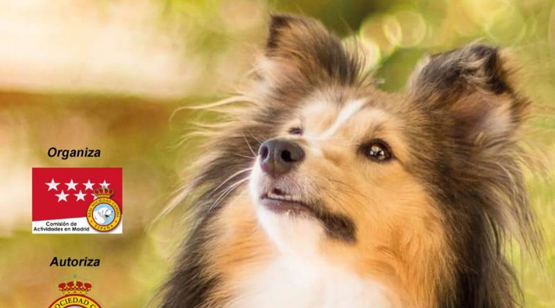 feria-canina-2022