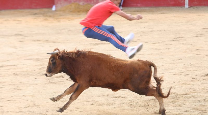 swanta quiteria 2022 1