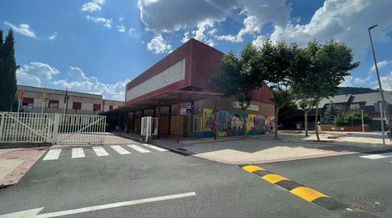 ies carmen martin gaite