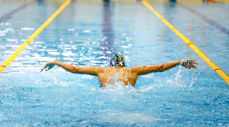 one swimmer athlete swim butterfly stroke in pool track