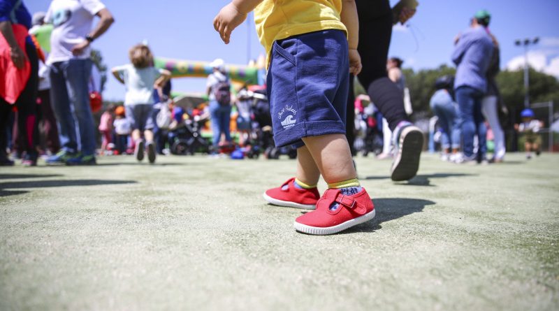 Ayudas nacimientos Las Rozas