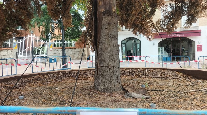 WhatsApp Image 2022-09-14 at 12.20.41