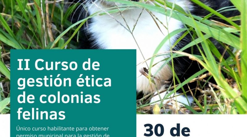 Cartel II curso CER jpg