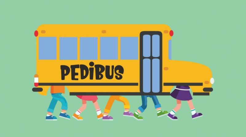 pedibus