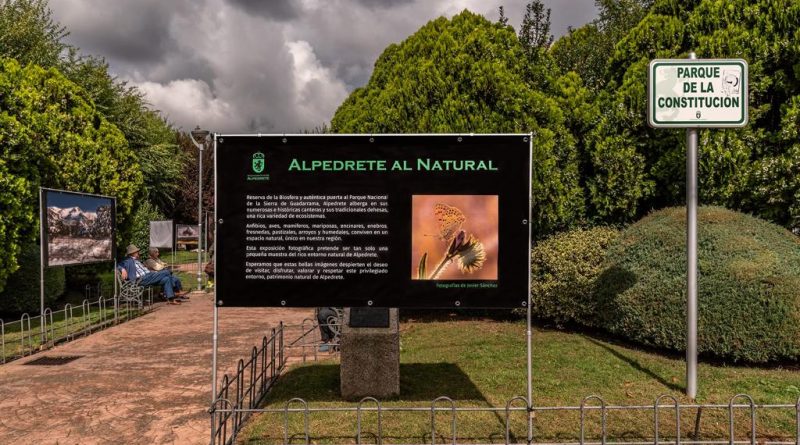 WhatsApp-Image-2022-10-13-at-10.36.47-AM