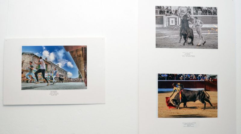 guadarrama-fotografia-taurina