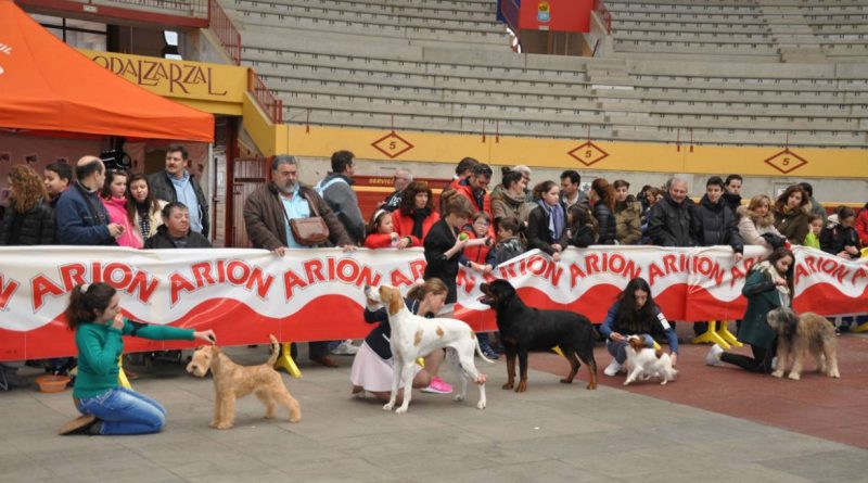 Concurso-canino-post-1170x662