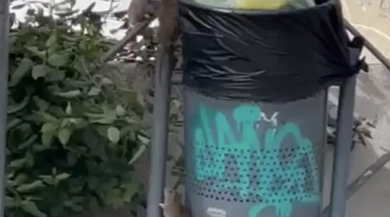 8F186C7F-76A1-4514-A6A9-DC350DA70D42