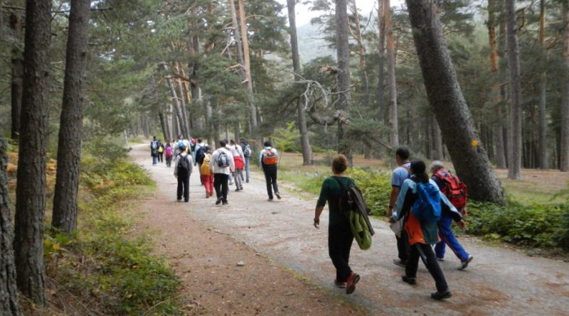 ???????????????????????????????????????????????????????????????????????????????????????????????????????????????????????