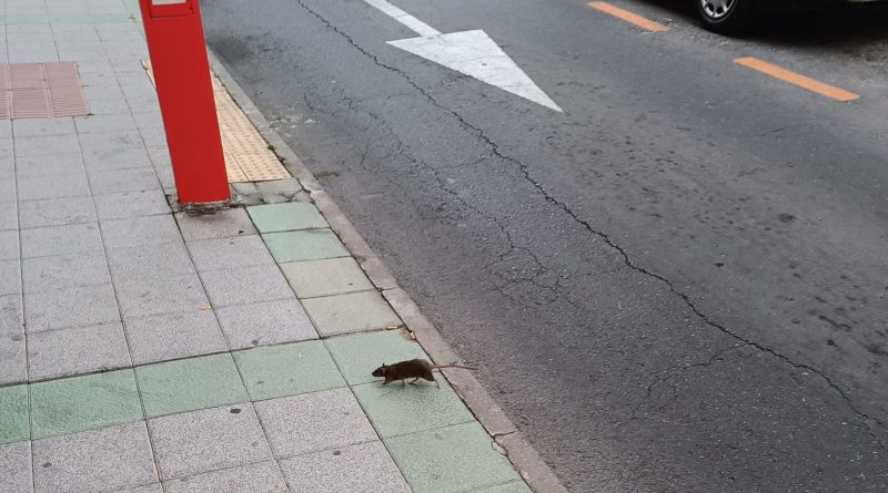 PHOTO-2023-04-28-13-01-31