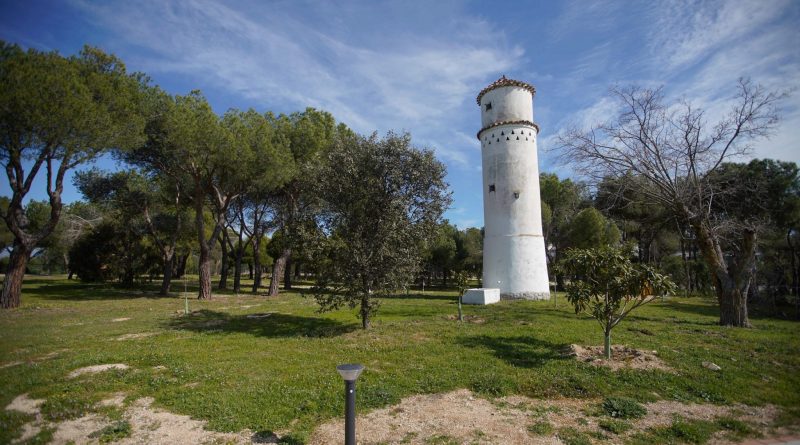 HUERTOS URBANOS LAS ROZAS 2
