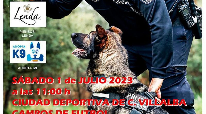 1-7-2023-exhibicion-canina-collado-villalba