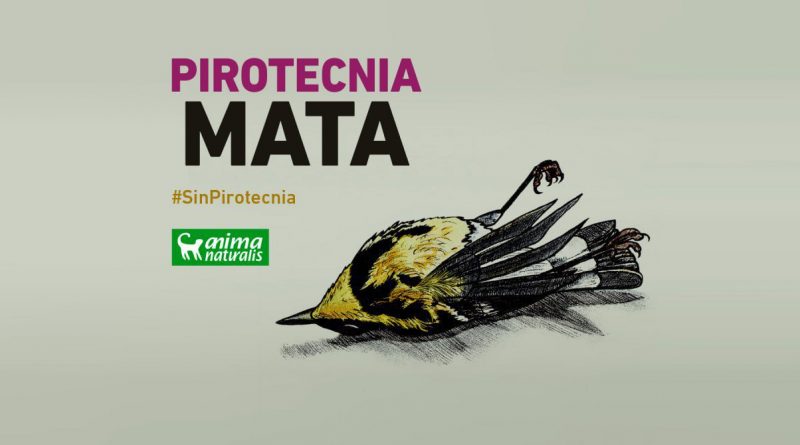 pirotecnia
