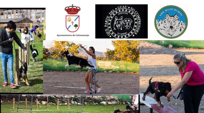 I JORNADA DE TENENCIA RESPONSABLE Y ADIESTRAMIENTO CANINO