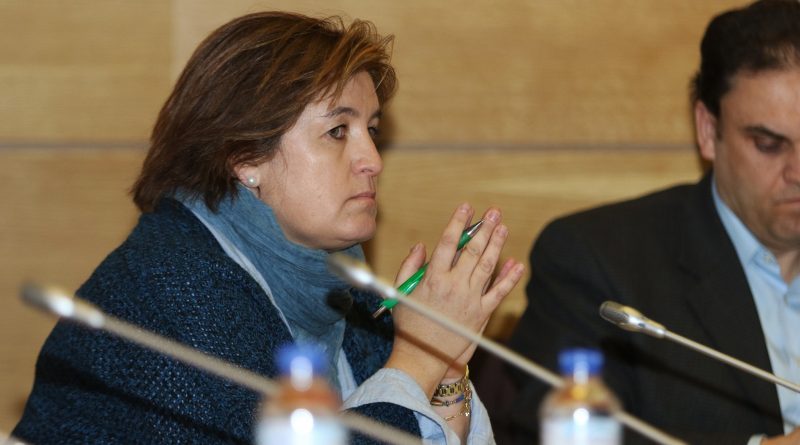 pleno villalba 4