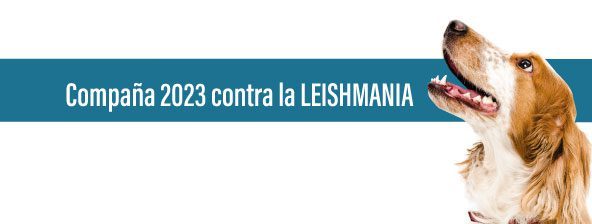 banner-campana-leishmania-2023
