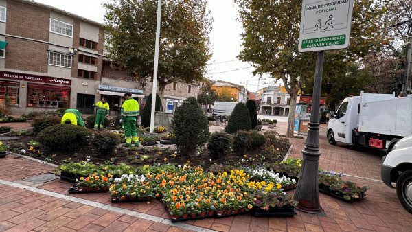 Trabajadores de Medio Ambiente, realizando la plantación de varios ejemplares