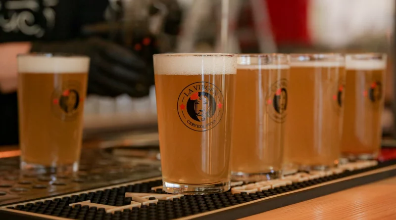 canas-cerveza-artesana-virgen-fabrica-rozas-madrid-2019_98