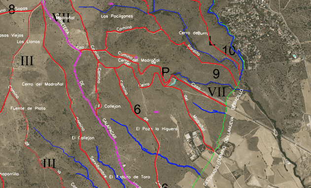 Detalle de un mapa que recoge las vías pecuarias de Colmenarejo