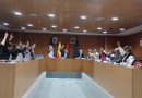 Momento de la votación de la adhesión de Valdemorillo a ADI, aprobada por unanimidad
