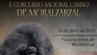 X-Concurso-Nacional-Canino-de-Moralzarzal