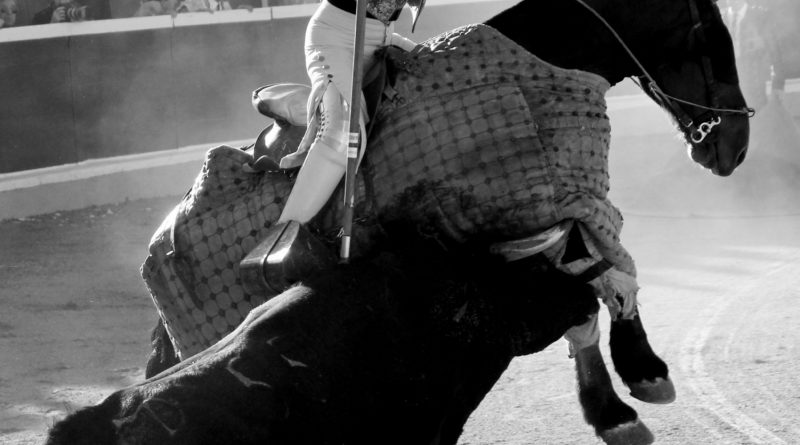 1 Premio_29_Majestuosidad en el aire