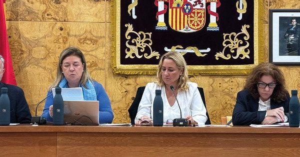 pleno-octubre-2