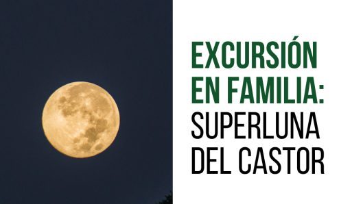 excursión en familia