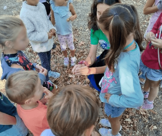 talleres y rutas Aulas Naturaleza 2