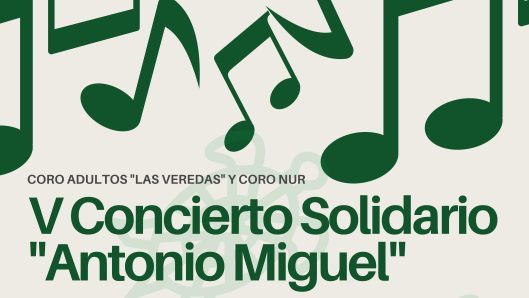 concierto solidario