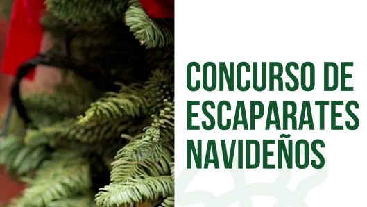 escaparates navideños