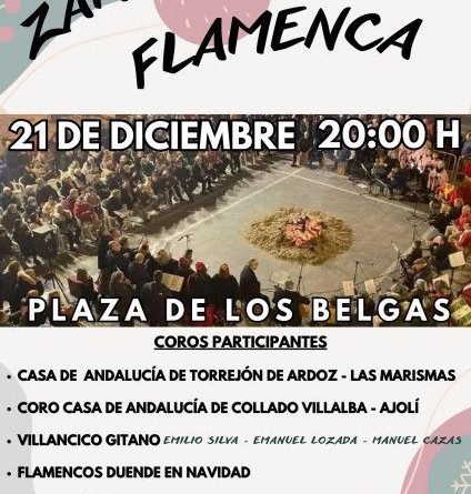 ZAMBOMBA_20241217_132104_0000(1)