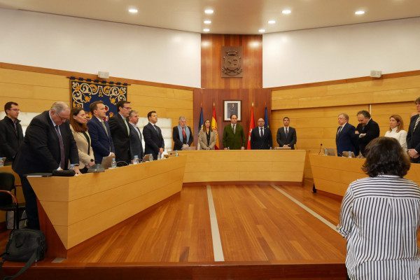 PLENO FEBRERO LAS ROZAS