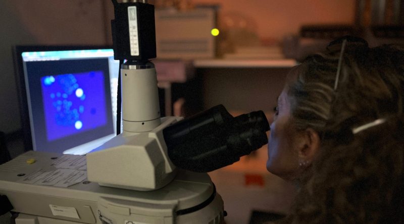 2025 02 24 Más del 80% de las enfermedades raras tienen una base genética, por lo que la identificación de antecedentes familiares y la realización de pruebas específicas es clave para un diagnóstico precoz