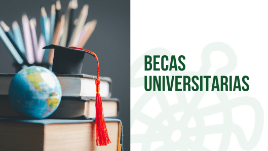 becas universitarias galapagar