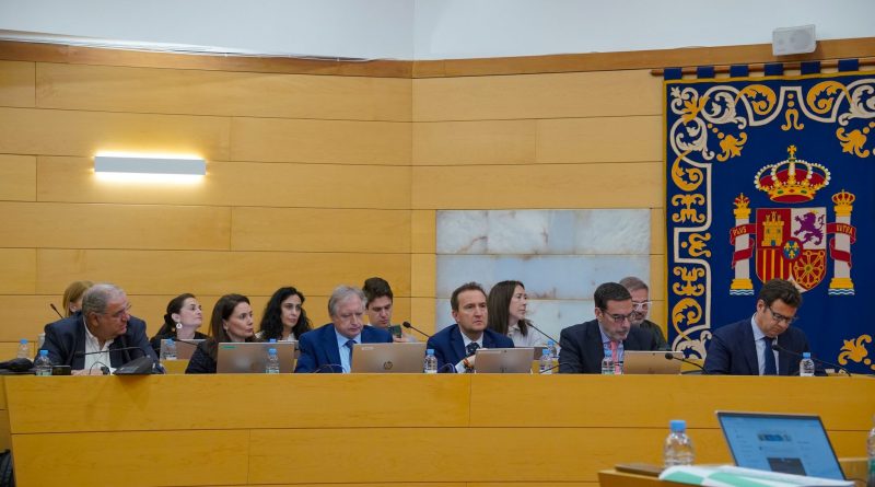 PLENO MARZO LAS ROZAS