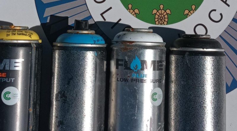 sprays grafitis (002)