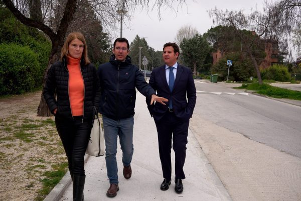 COLECTOR LAS ROZAS 1