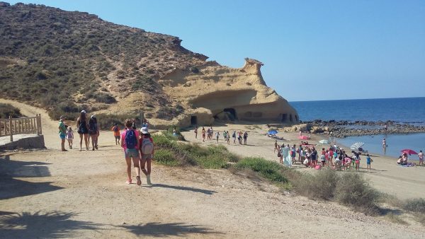 CAMPAMENTO JUVENTUD LAS ROZAS
