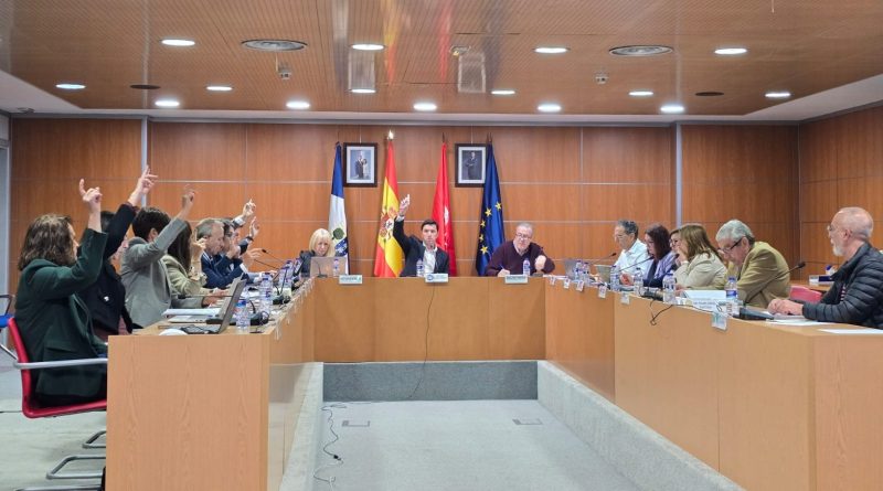 pleno 15 mayo 2025